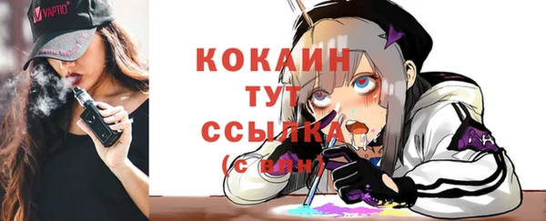 спиды Богданович