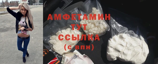 спиды Богданович
