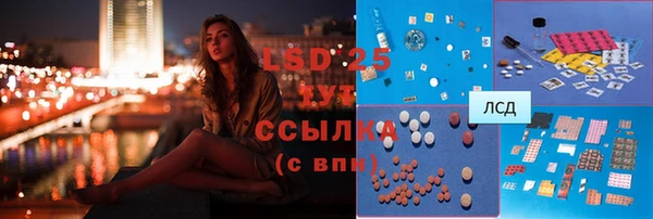 спиды Богданович
