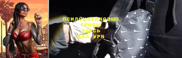 спиды Богданович