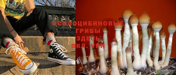 дмт Богородск