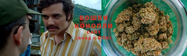 спиды Богданович